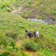 86- Descente vertigineuse du mont Temehani 
